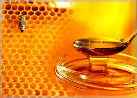 تصویر 5 از خرید عسل گون آویشن + قیمت فروش استثنایی
